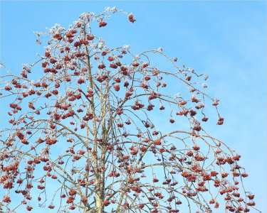 241212.01.jpg 241212.01.jpg