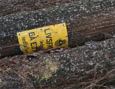 Fs Budskap 160101.JPG