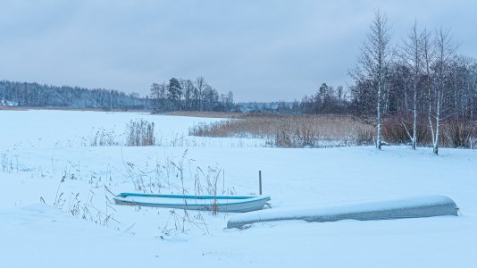 250101-Fs-1år.jpg 250101-Fs-1år.jpg