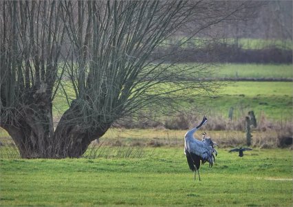 250102.01.JPG 250102.01.JPG