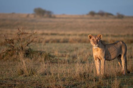 _DSC1197-Edit.jpg _DSC1197-Edit.jpg