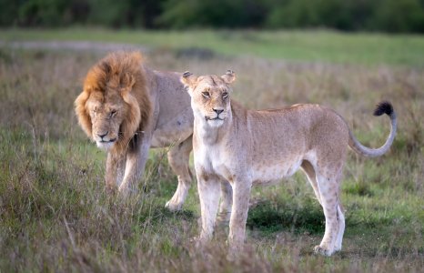 _DSC1113.jpg _DSC1113.jpg