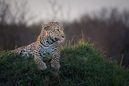 _DSC1393-Edit.jpg _DSC1393-Edit.jpg