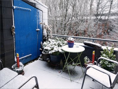 250103.01.JPG 250103.01.JPG