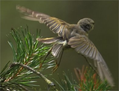 Fs Suddmes 260103.jpg