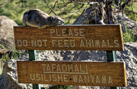 1767493362646.png 1767493362646.png