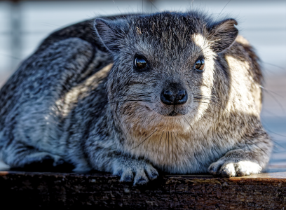 1767493451757.png 1767493451757.png