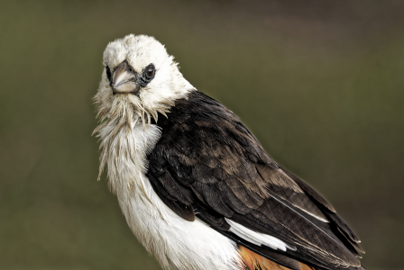 1767493577268.png 1767493577268.png