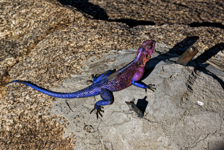 1767493671099.png 1767493671099.png