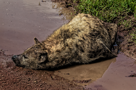 1767493777100.png 1767493777100.png