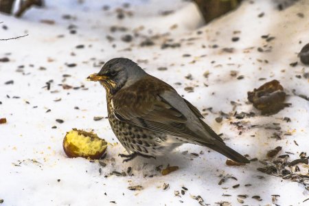 2016-01-05.jpg 2016-01-05.jpg