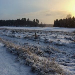 160105-FS10.jpg 160105-FS10.jpg