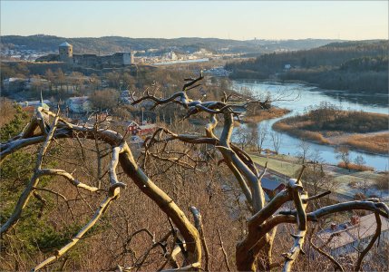 160106.01.jpg 160106.01.jpg