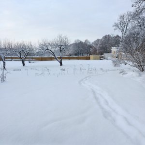 160106-FS10.jpg 160106-FS10.jpg