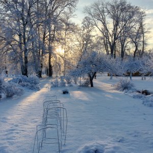 160109-FS10.jpg 160109-FS10.jpg