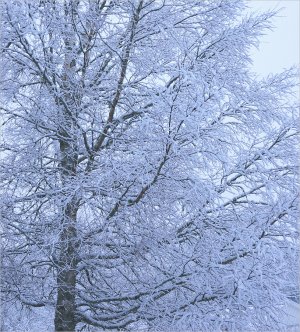 160111.01.jpg 160111.01.jpg