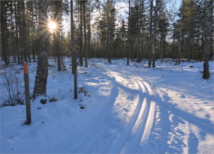 250111.01.JPG 250111.01.JPG