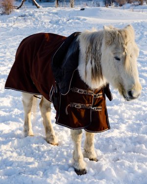 _N0A9724.jpg _N0A9724.jpg