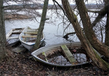 Fs Transport 260121.JPG