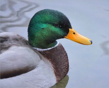 250122.01.JPG 250122.01.JPG