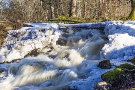 2016-01-28.jpg 2016-01-28.jpg