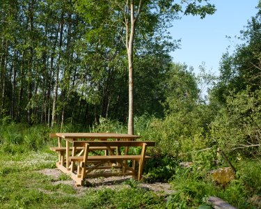 FS-Bänk-DSCF3605-28 juni 2024.jpg