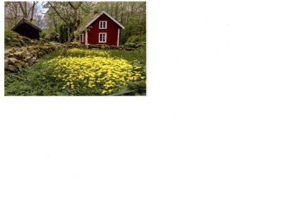 Skanning_20260220 (2).jpg