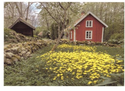 Skanning_20260220 (2).jpg