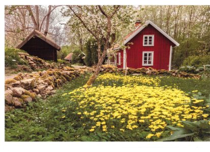 Skanning_20260221 (3).jpg