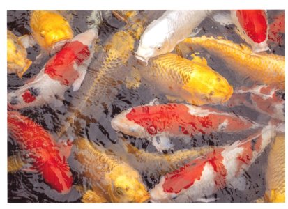 Skanning_20260225 (2).jpg