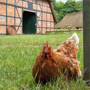 Fs Dörrar 260303.JPG Fs Dörrar 260303.JPG