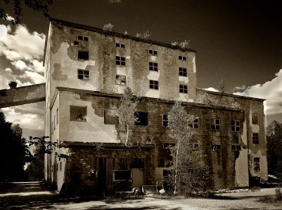 DSCF2170 kopia 2.JPG