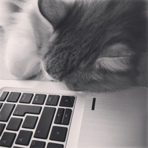 160307-FS10.jpg 160307-FS10.jpg