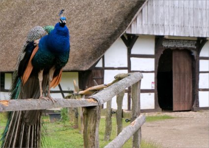 Fs Dörrar 260307.JPG