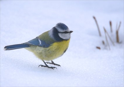 160310.01.JPG 160310.01.JPG