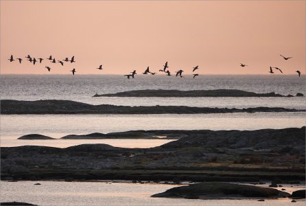 250310.01.JPG 250310.01.JPG