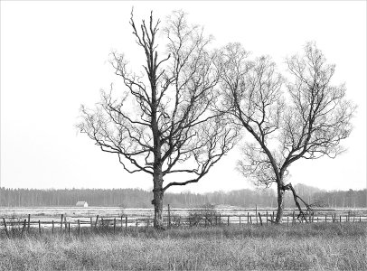 160312.01.JPG 160312.01.JPG