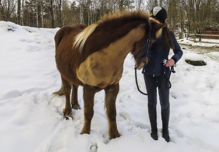 2016-03-12.jpg 2016-03-12.jpg