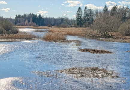 250315.05.JPG 250315.05.JPG