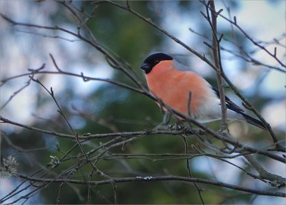 250316.01.JPG 250316.01.JPG