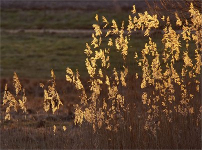 160318.01.jpg 160318.01.jpg