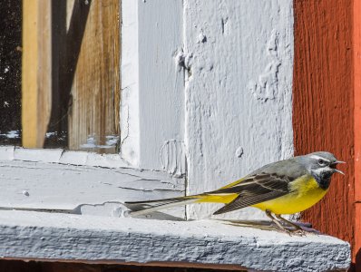 2016-03-19.jpg 2016-03-19.jpg