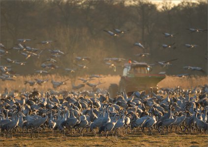 250319.01.JPG 250319.01.JPG