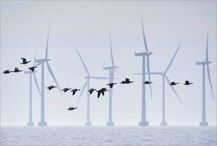 160320.01.JPG 160320.01.JPG