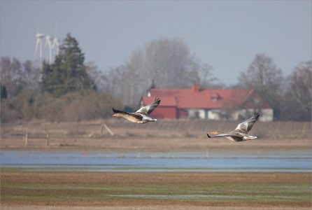 250320.01.JPG 250320.01.JPG