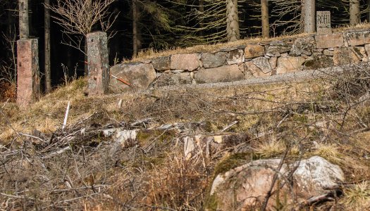 247A5844.jpg 247A5844.jpg