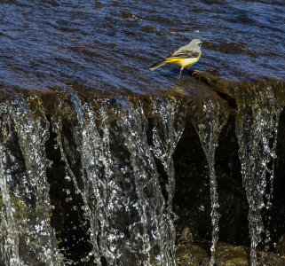 2016-04-01 247A5499.jpg