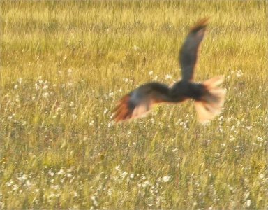 Fs Suddmes 260402.JPG