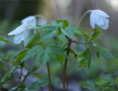 250404.01.JPG 250404.01.JPG