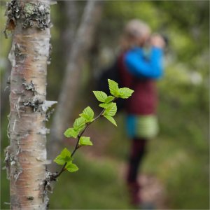 Fs BildBlirTill 260404.JPG Fs BildBlirTill 260404.JPG